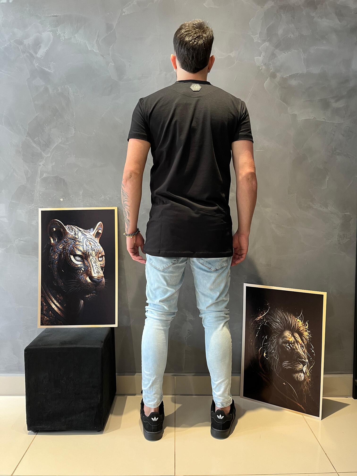 Camiseta Co Strass Masculina Fb